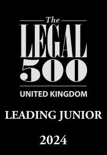 The Legal 500 Leading Junior 2024